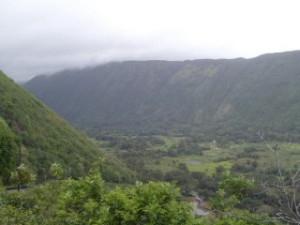 Waipio Valley on the Big Island, Hawaii.